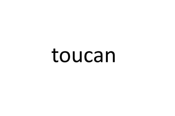 toucan-languages-working-remotely-tools